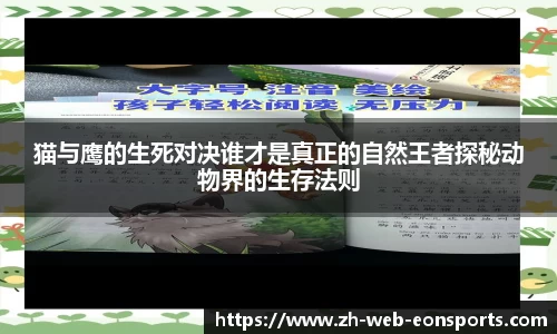 猫与鹰的生死对决谁才是真正的自然王者探秘动物界的生存法则